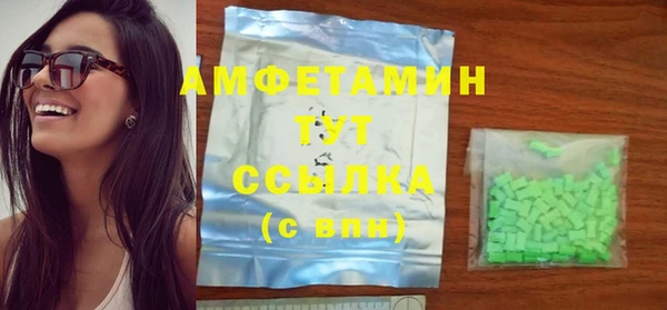 шишки Слюдянка
