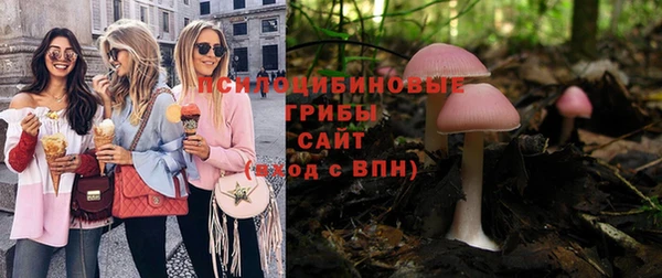 мескалин Алексин