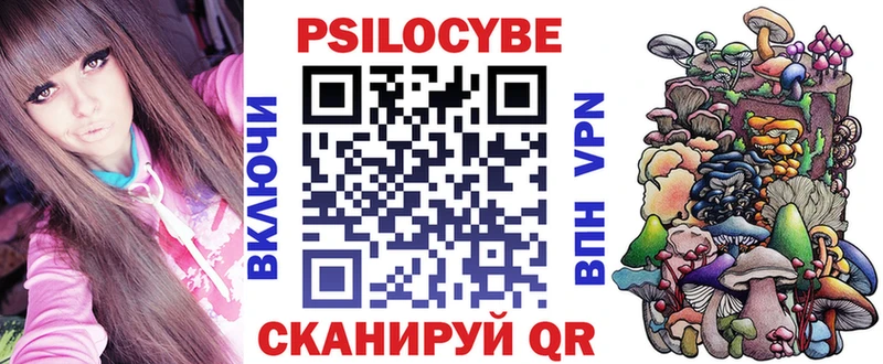кракен tor  Камызяк  Псилоцибиновые грибы GOLDEN TEACHER 